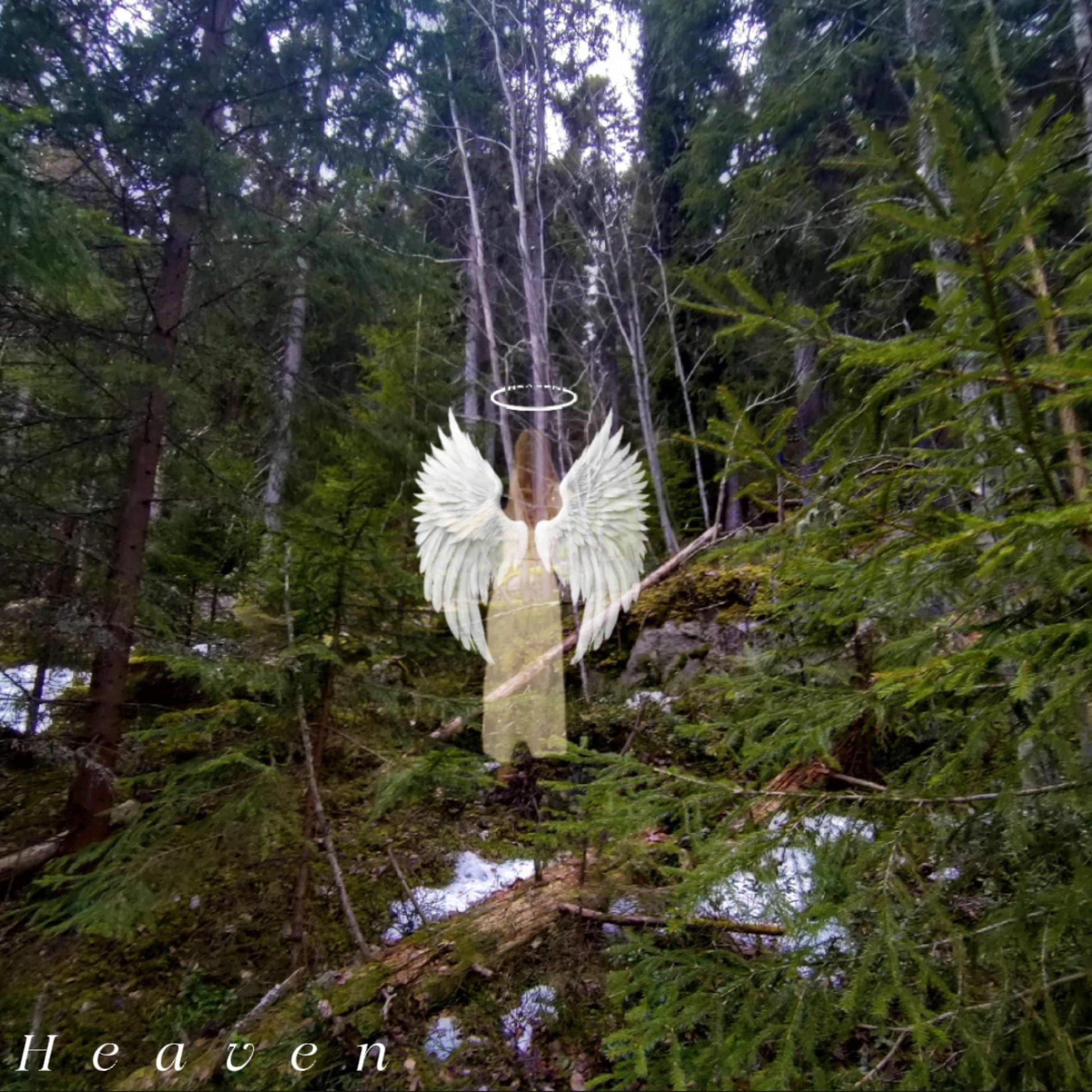 Album cover of Heaven