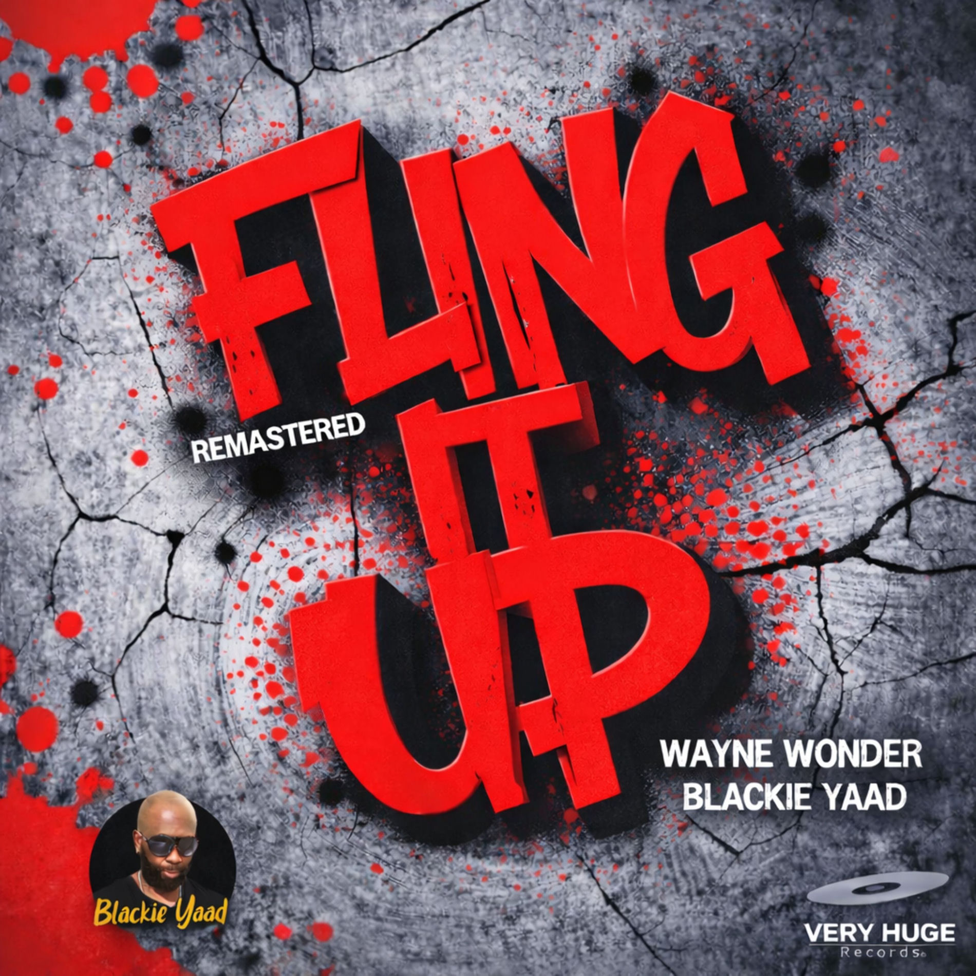 Album cover of Fling It up (Remastered)