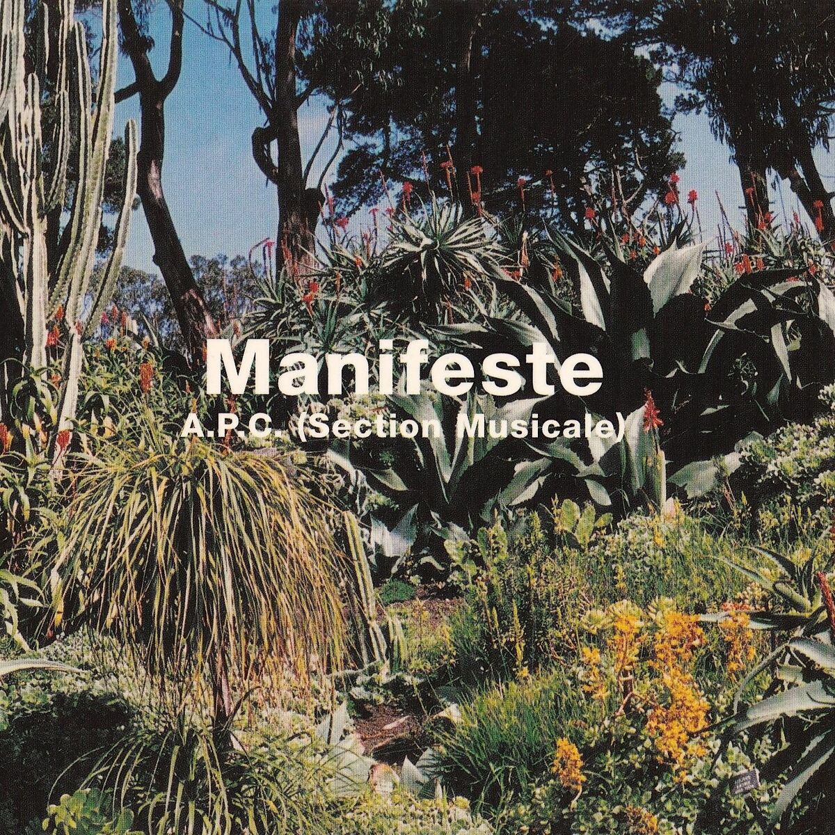 Album cover of Manifeste