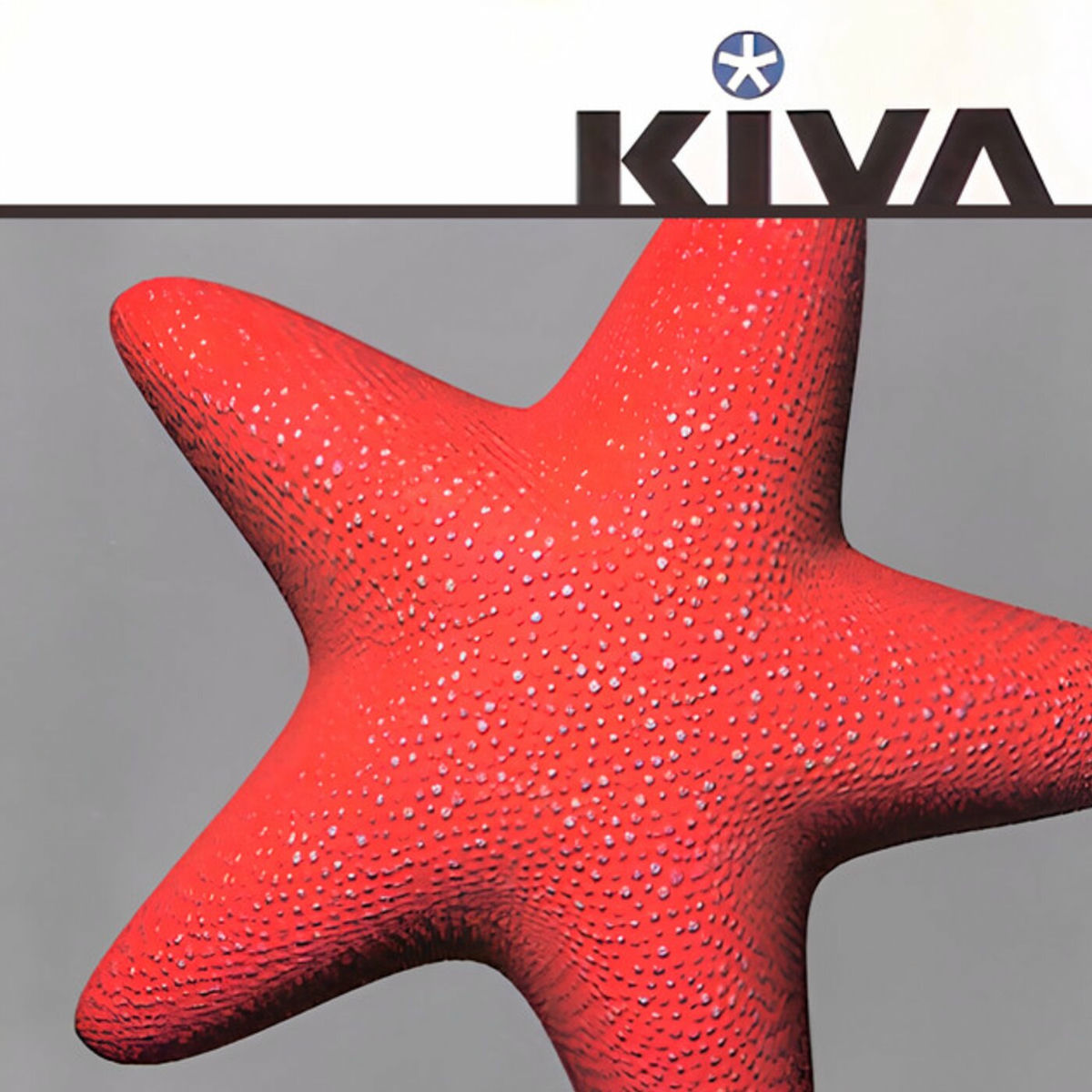 Album cover of Kiva