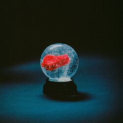 Cover of Nothing