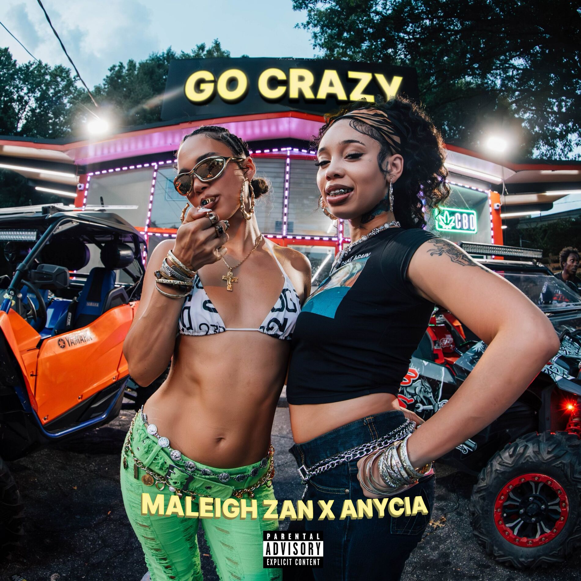 Album cover of Go Crazy