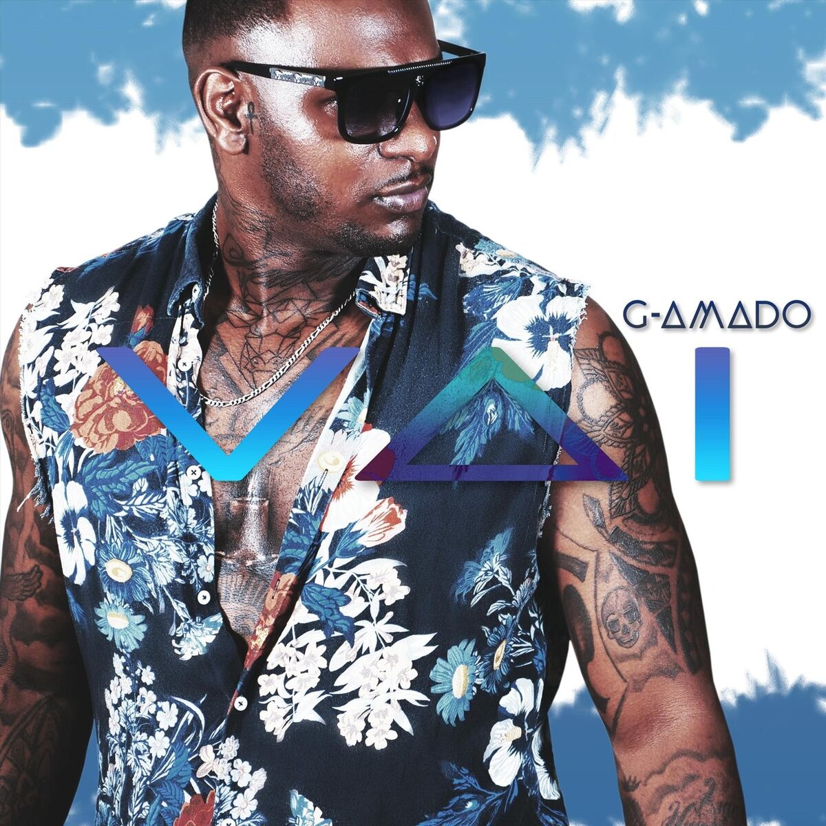 Album cover of Vai
