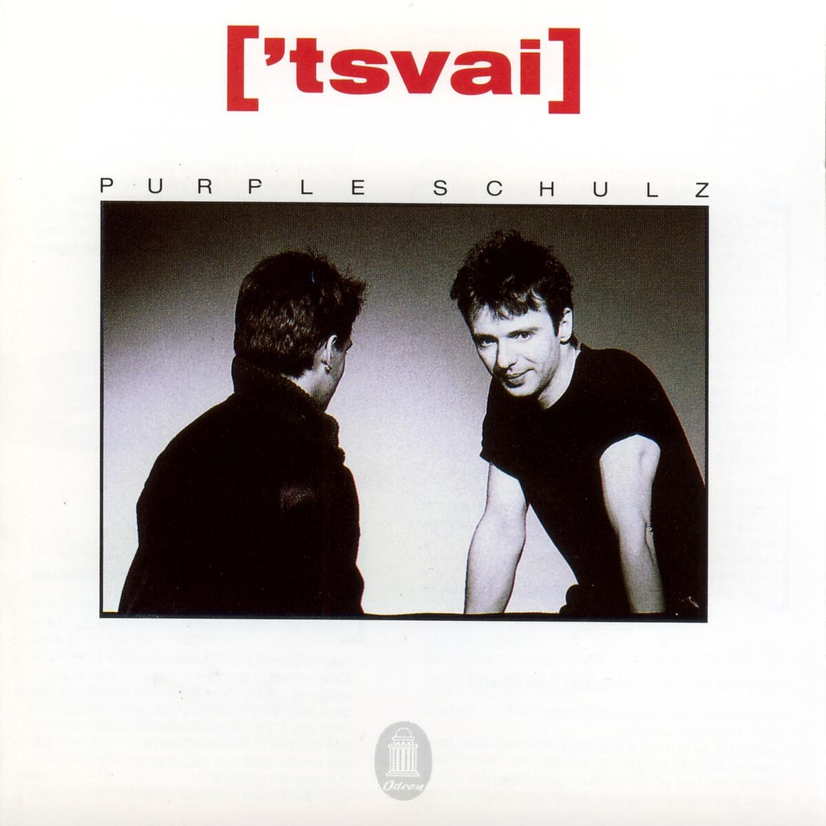 Album cover of 'Tsvai