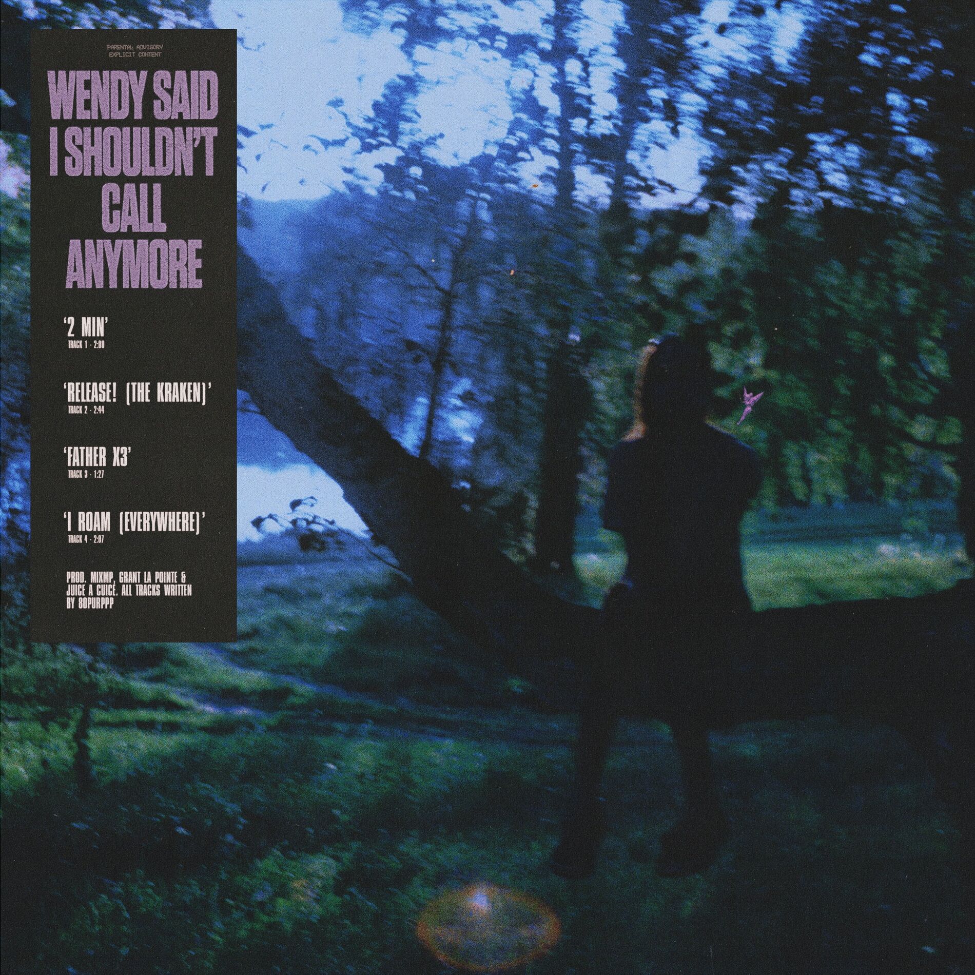Album cover of Wendy Said I Shouldn't Call Anymore