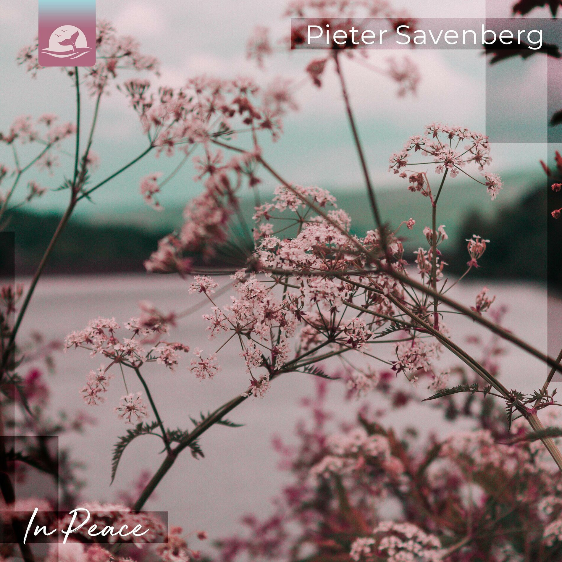 Album cover of In Peace