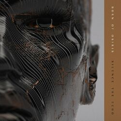 Cover of Silence the Echo