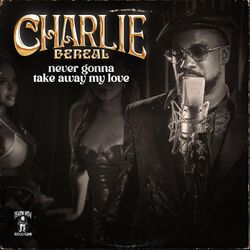 Cover of Never Gonna Take Away My Love
