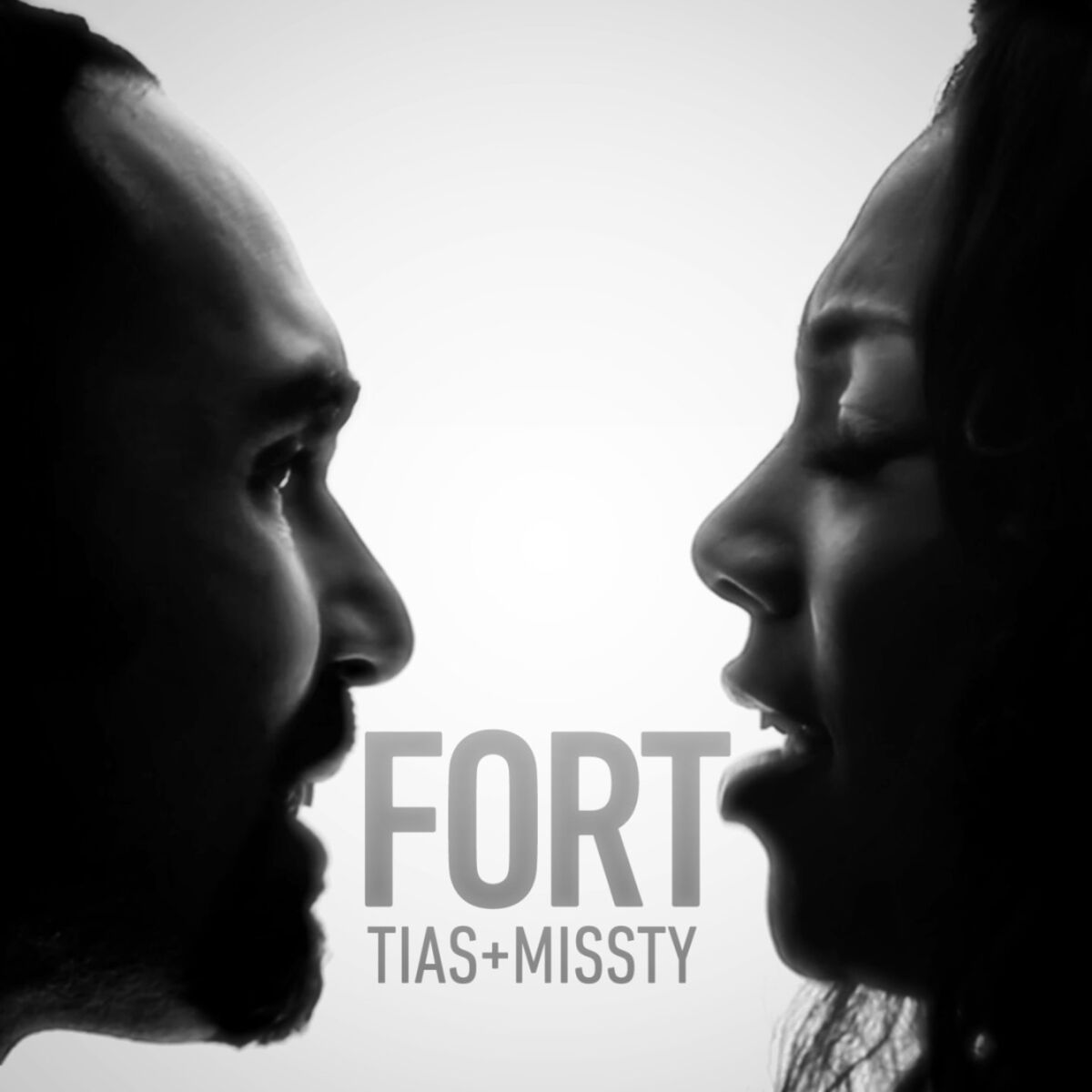 Album cover of Fort