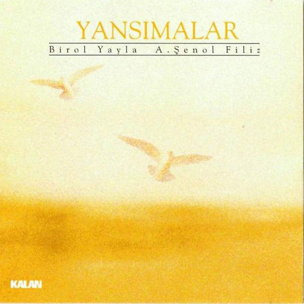 Picture of Yansımalar