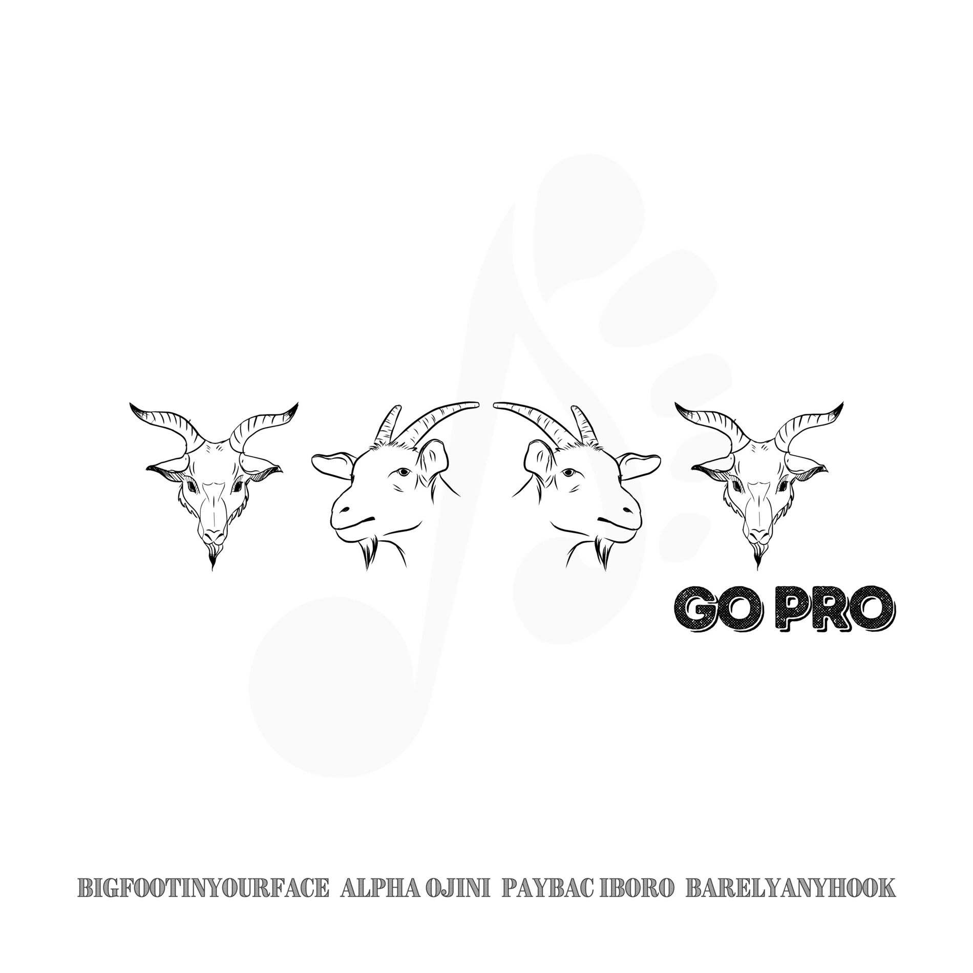 Album cover of Go Pro