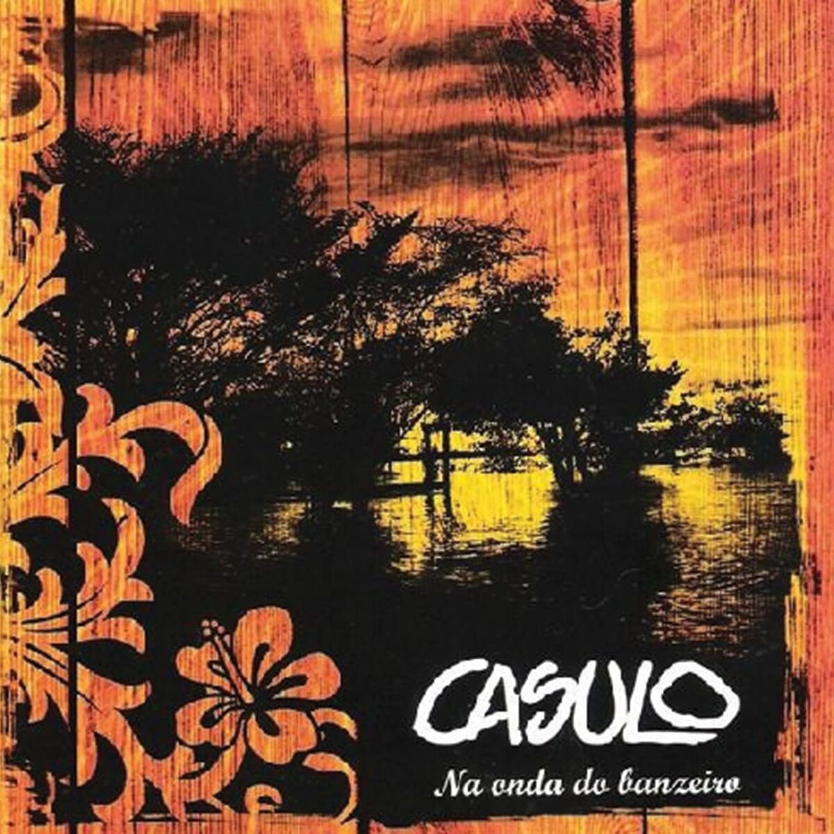 Album cover of Na Onda do Banzeiro