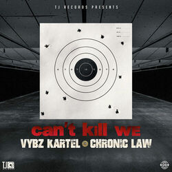 Cover of Can't Kill We