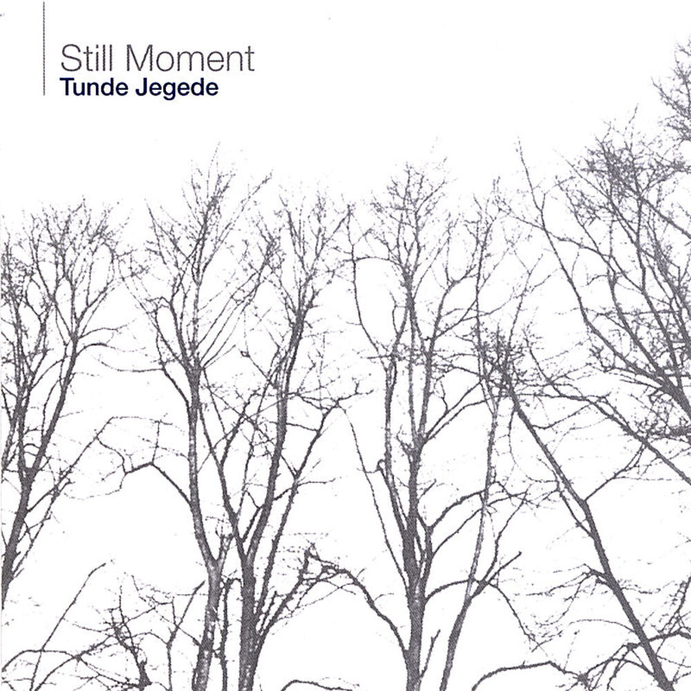 Picture of Still Moment