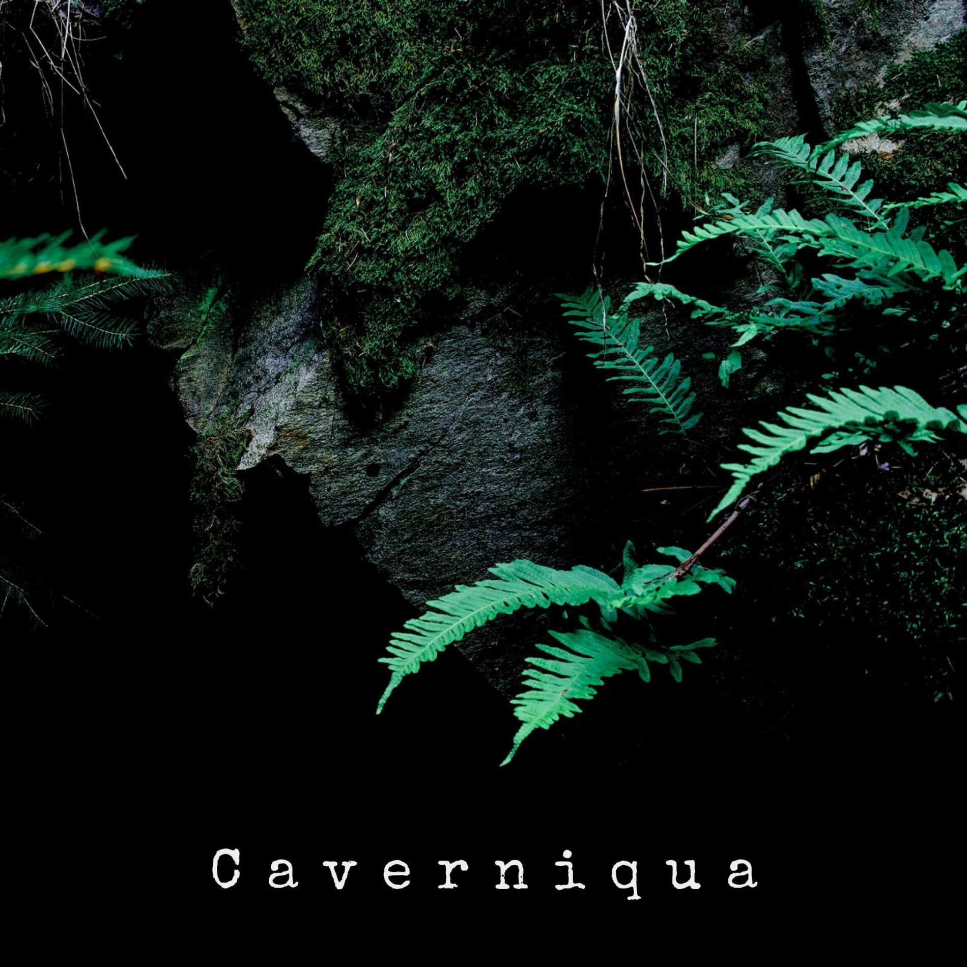Album cover of Caverniqua
