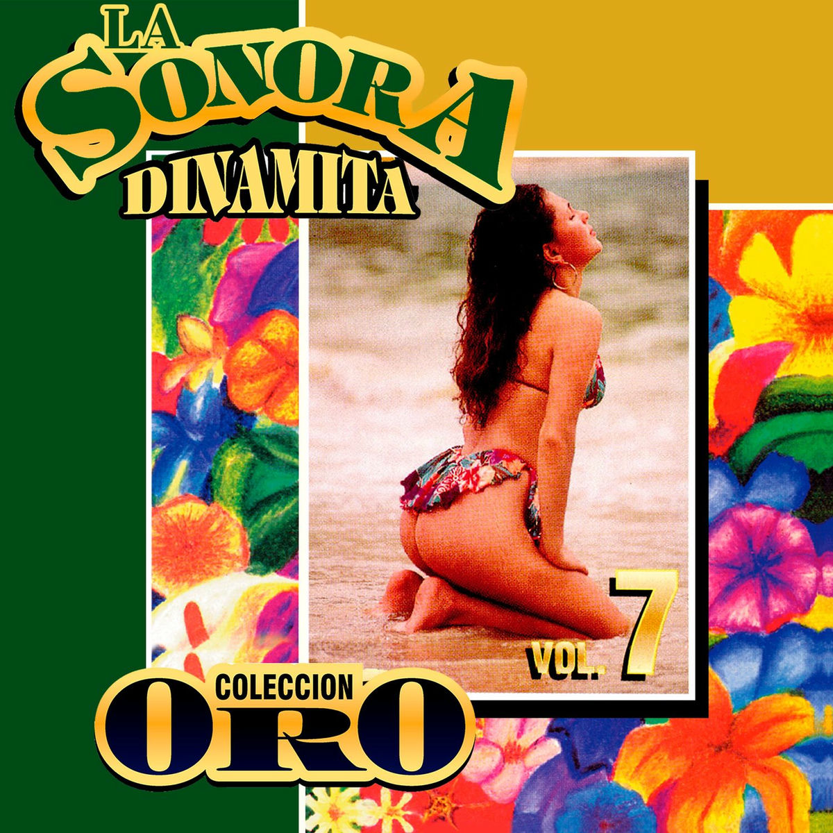 Album cover of Colección Oro la Sonora Dinamita (Vol. 7)