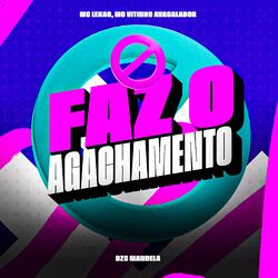 Cover of Faz o Agachamento