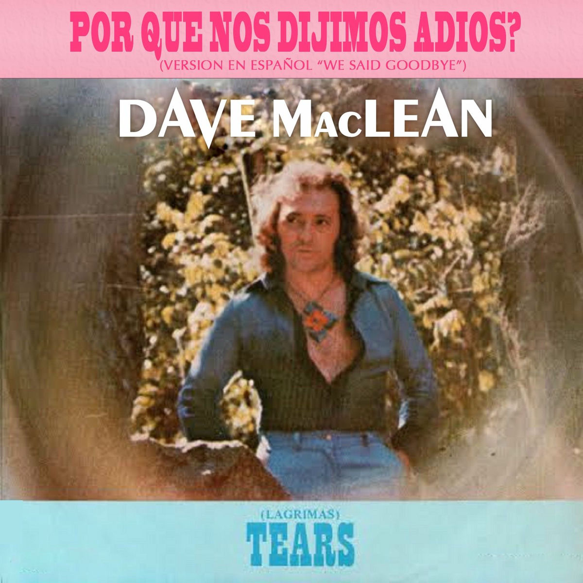Album cover of Por Que Nos Dijimos Adios?