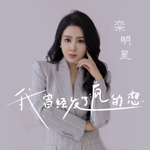 我曾经发了疯的想 (DJ默涵版)