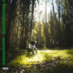 Cover of Used To