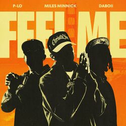 Cover of Feel Me?