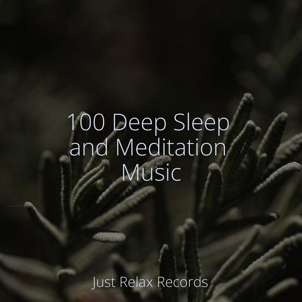 Picture of 100 Deep Sleep and Meditation Music