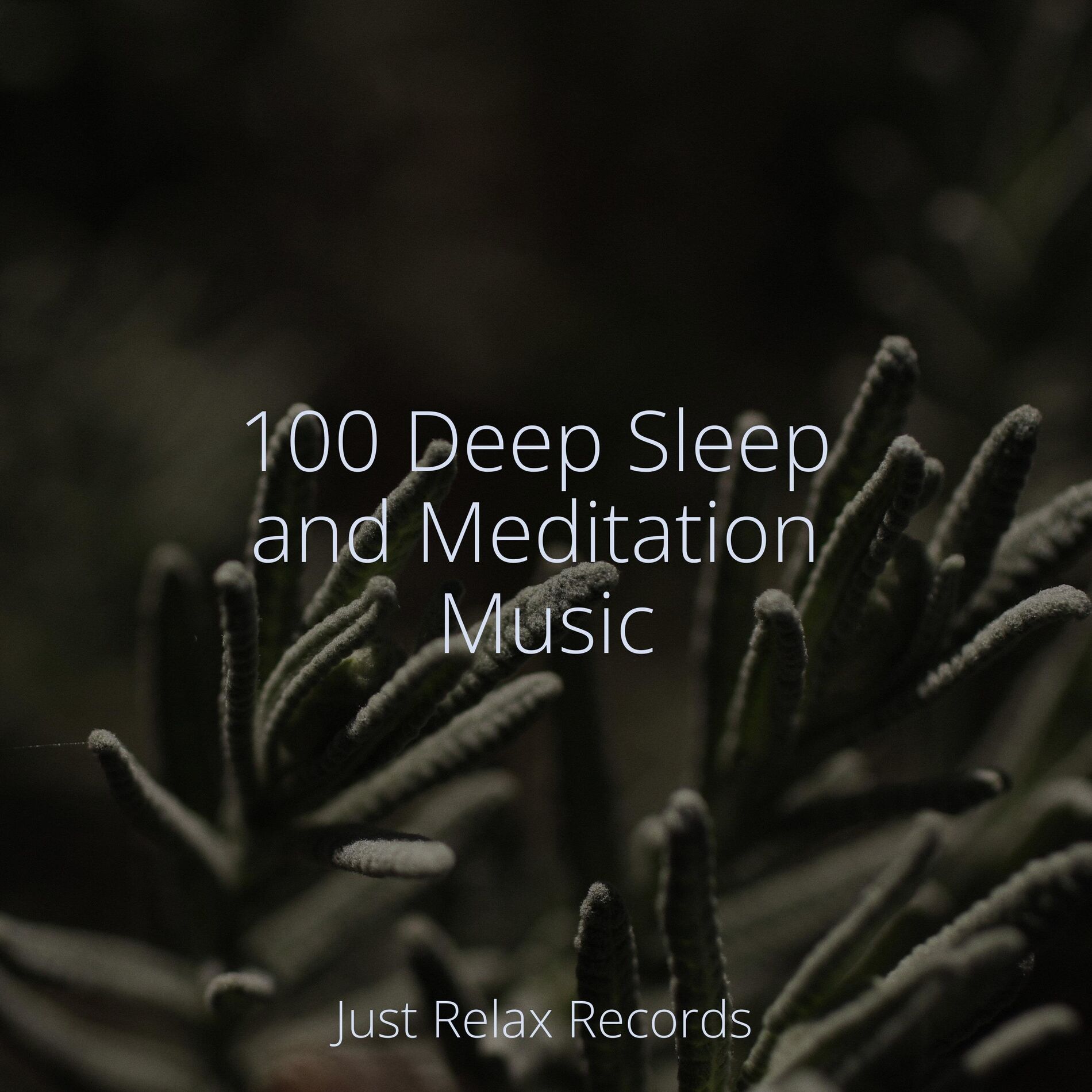 Album cover of 100 Deep Sleep and Meditation Music