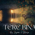 Tere Bina | Zeyaan | Official Song 2026 (feat. Shreya)