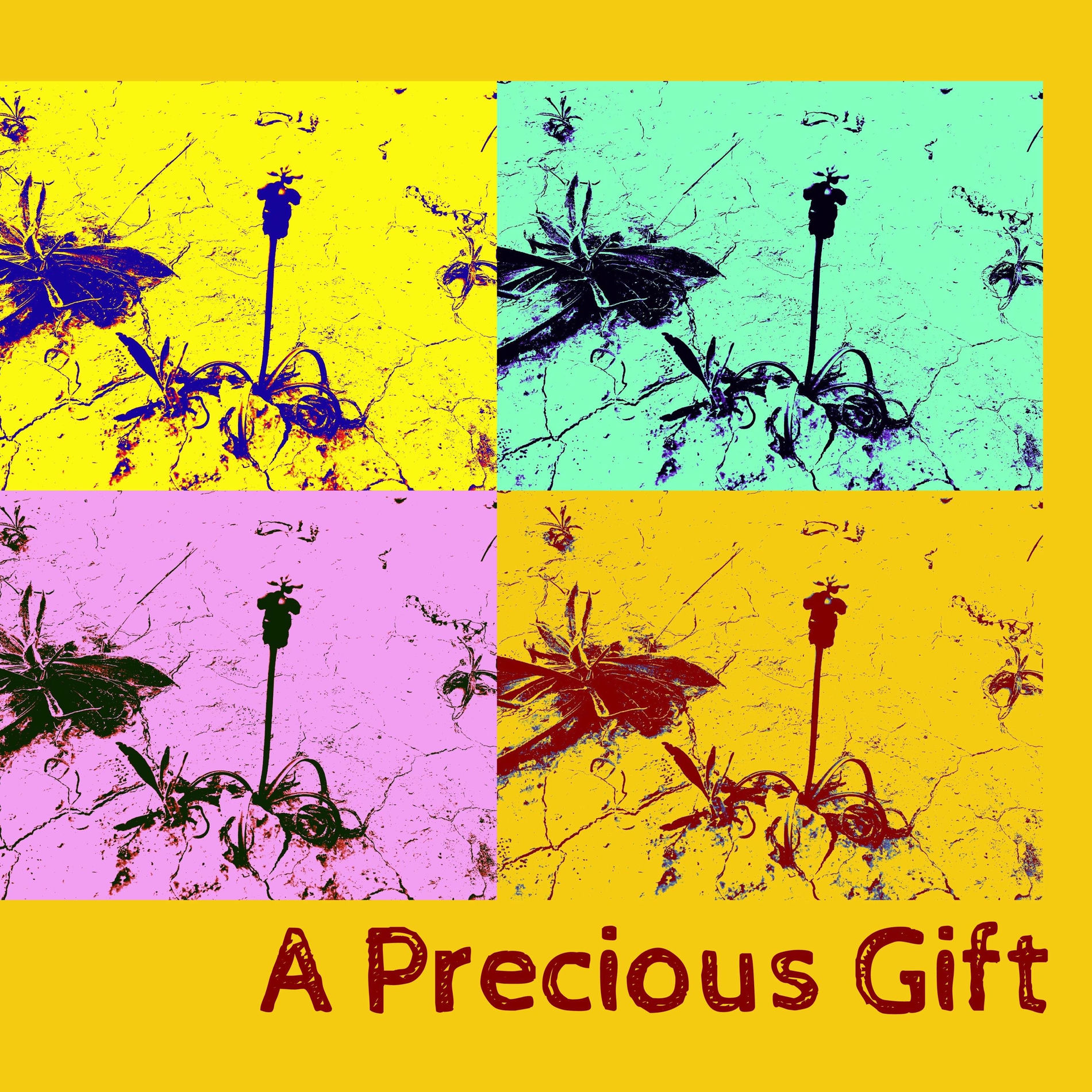 Album cover of A Precious Gift