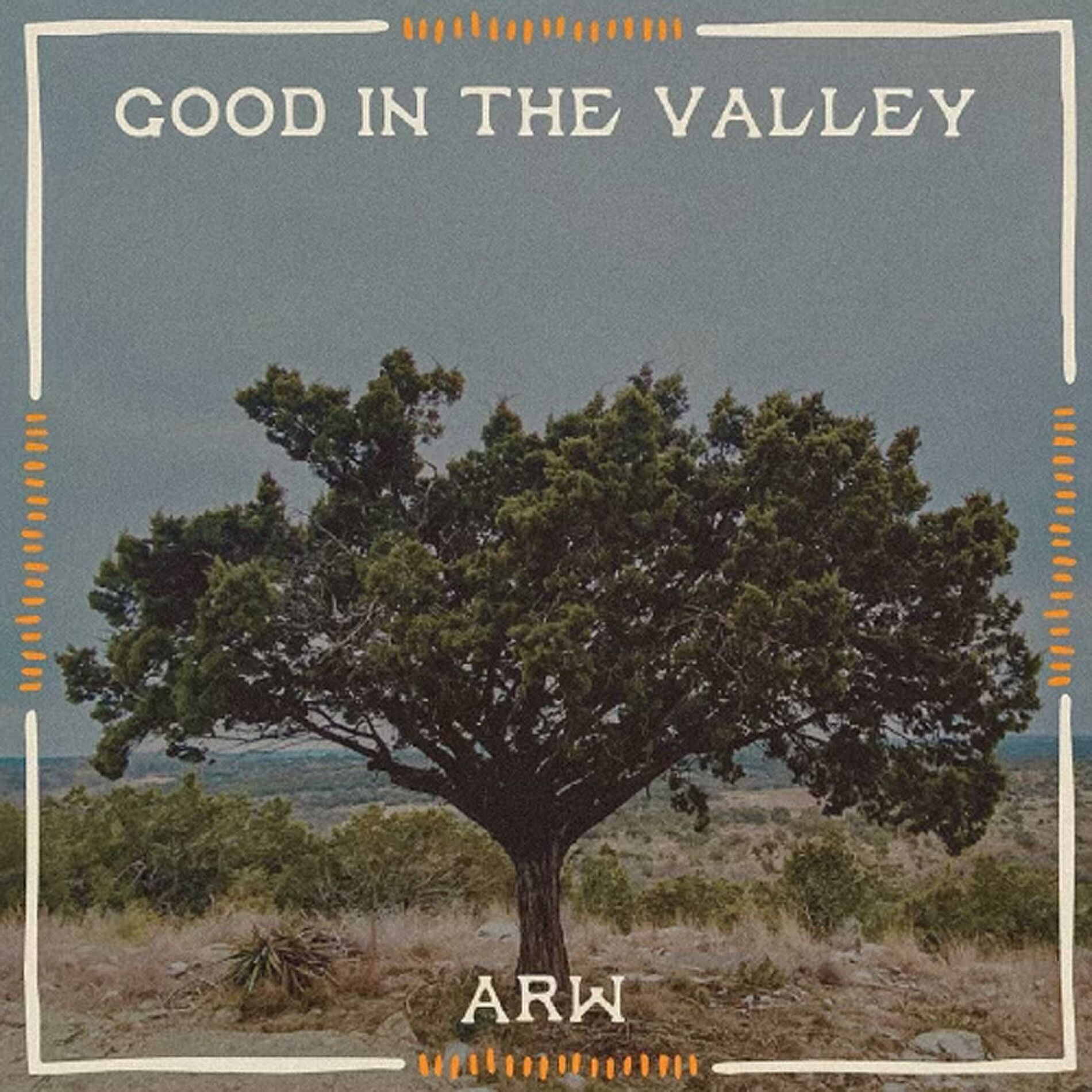 Album cover of Good In The Valley