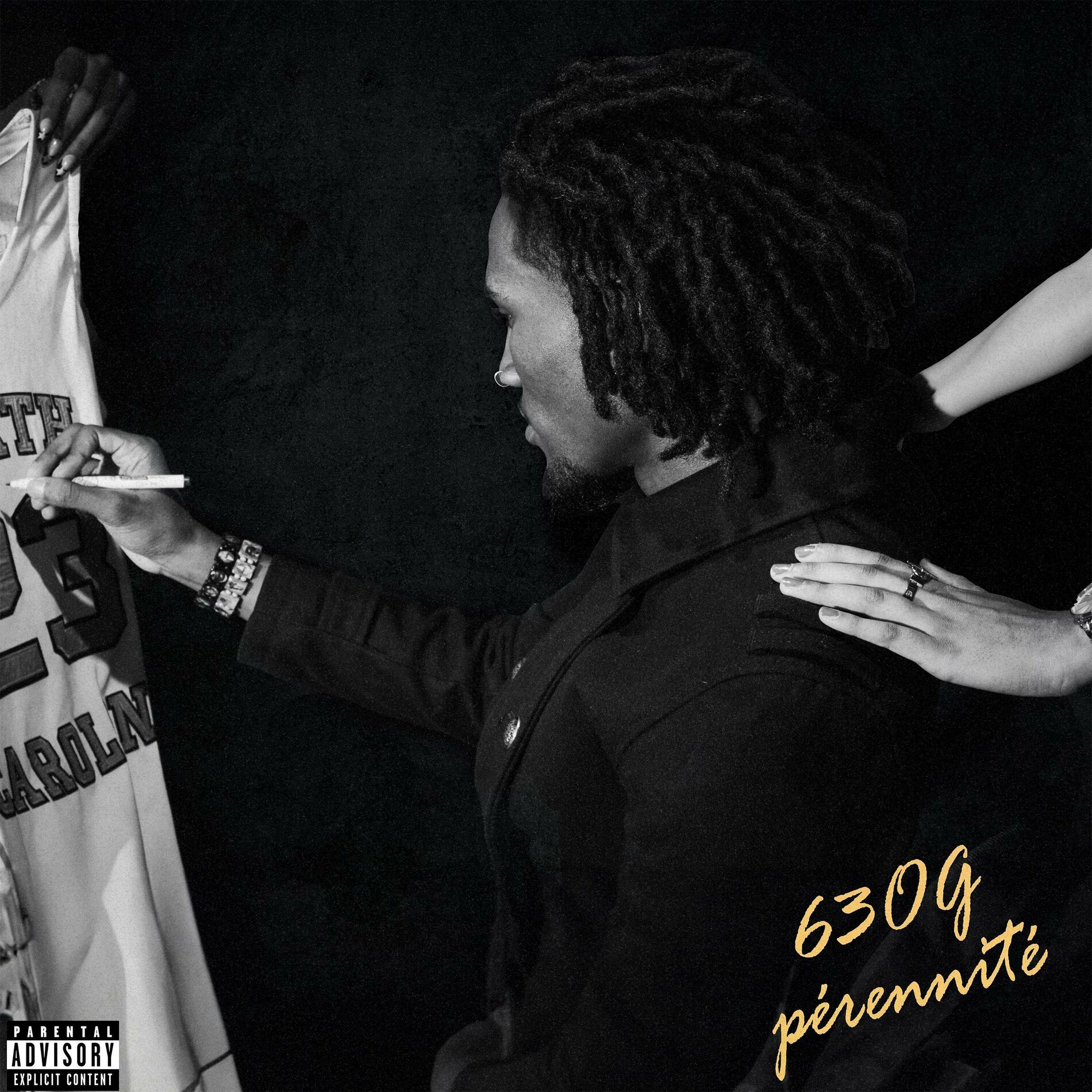Album cover of Pérennité