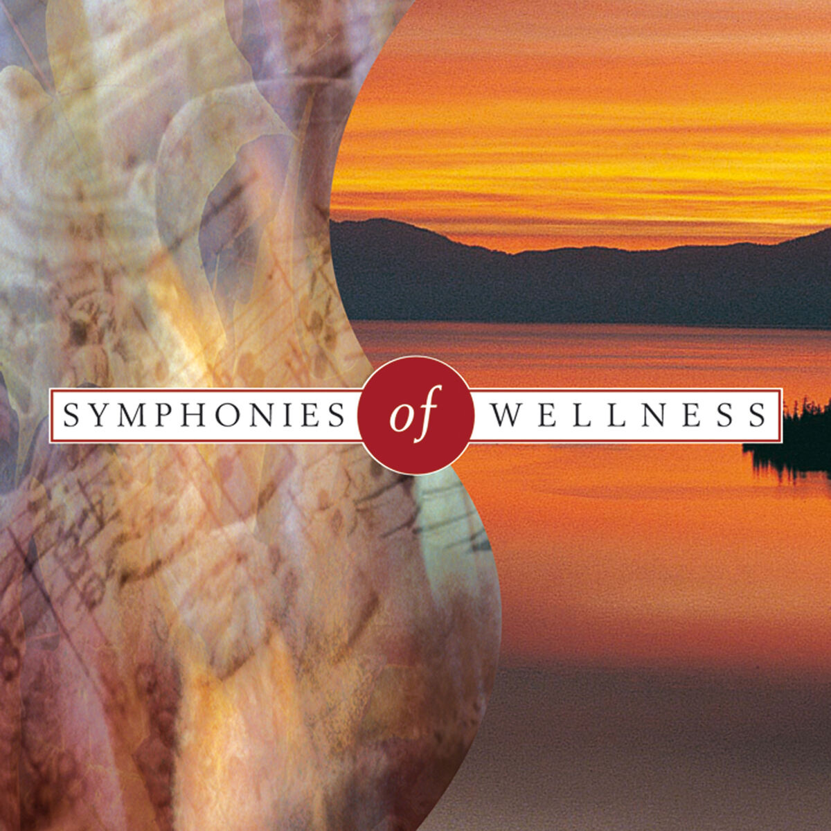 Album cover of Symphonies of Wellness
