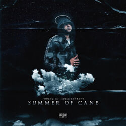 Cover of Summer of Cane