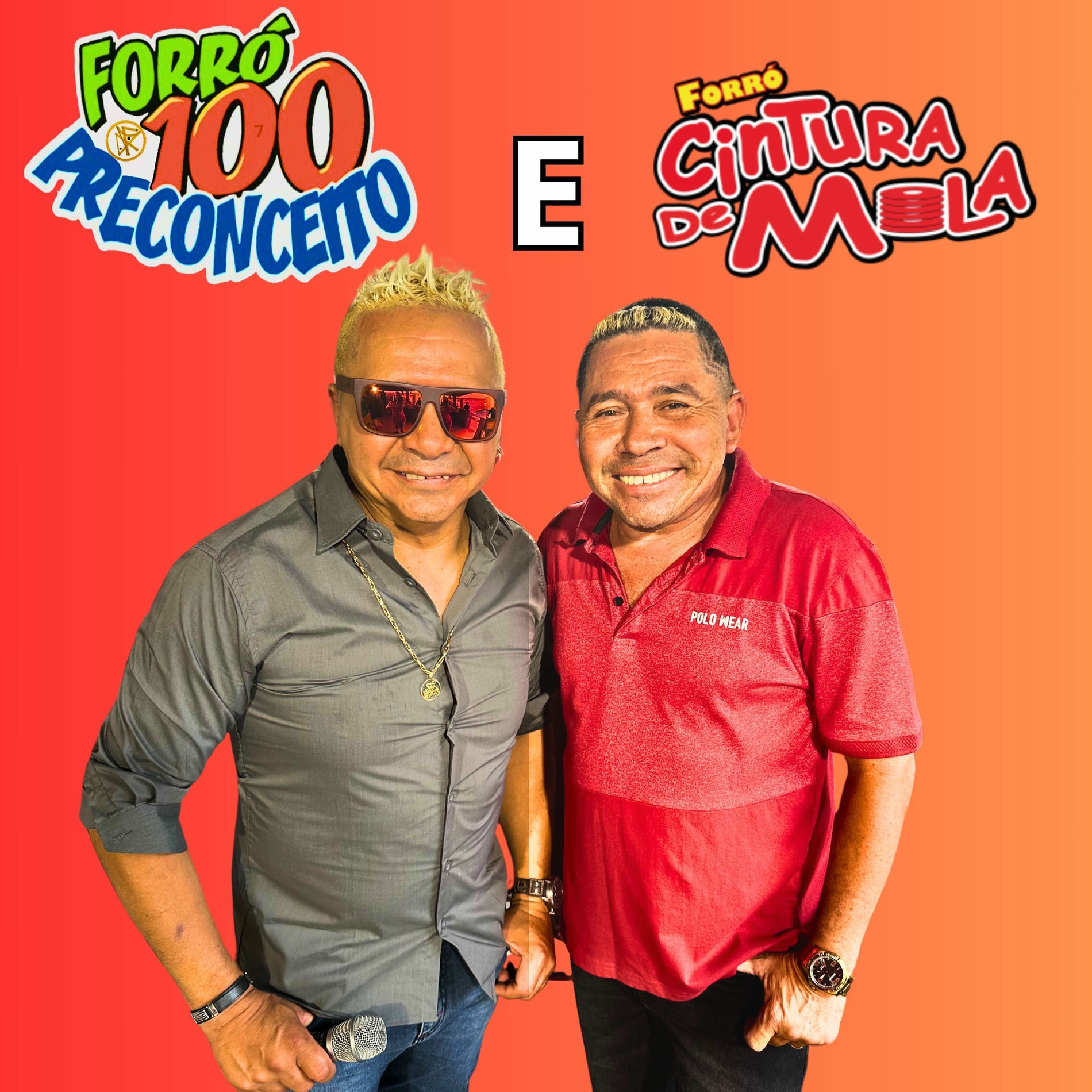 Album cover of Forró 100 Preconceito e Cintura de Mola