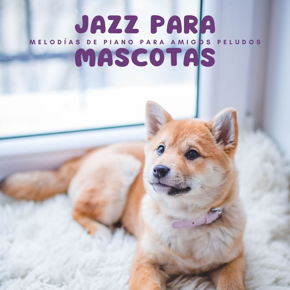 Picture of Jazz Para Mascotas: Melodías De Piano Para Amigos Peludos