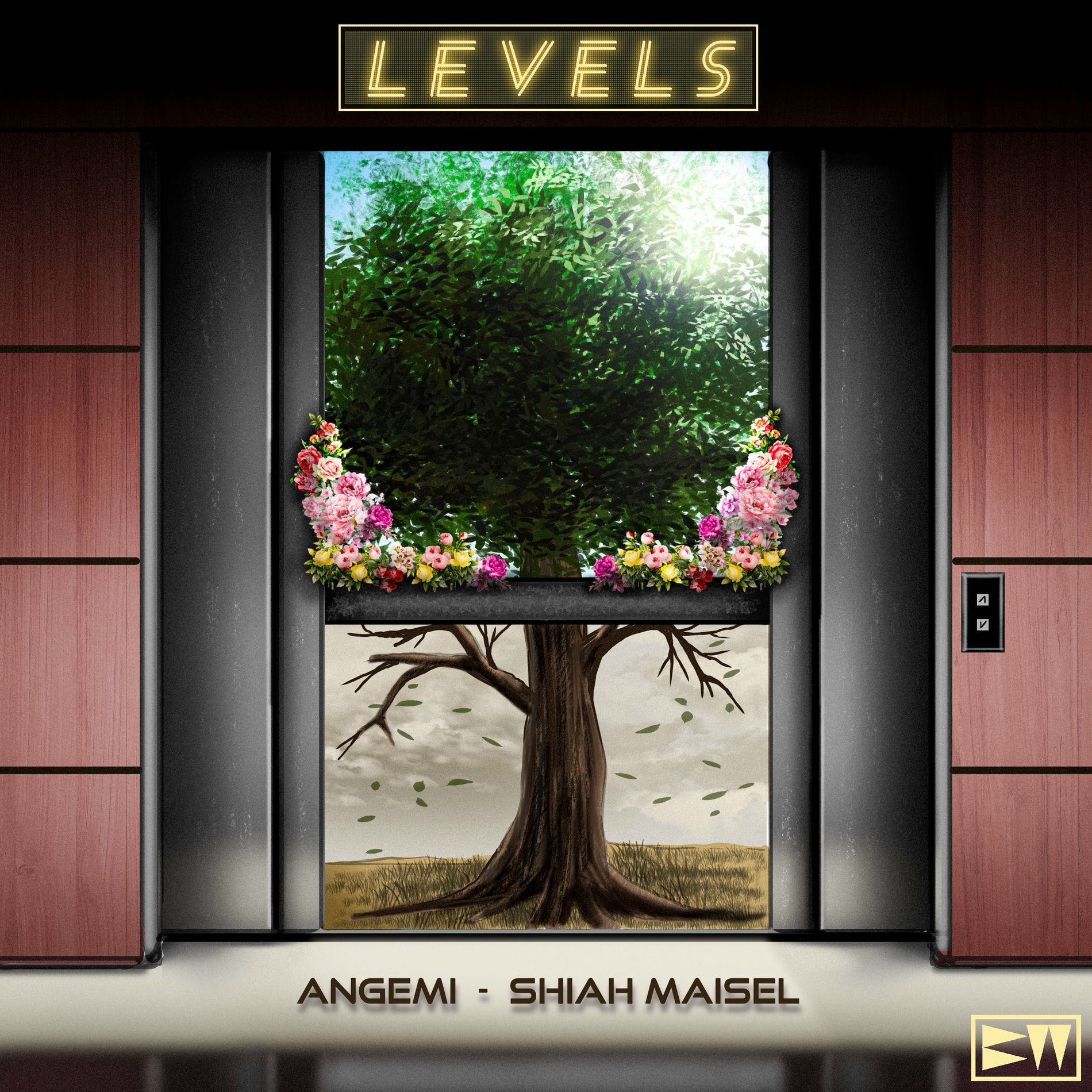 Album cover of Levels