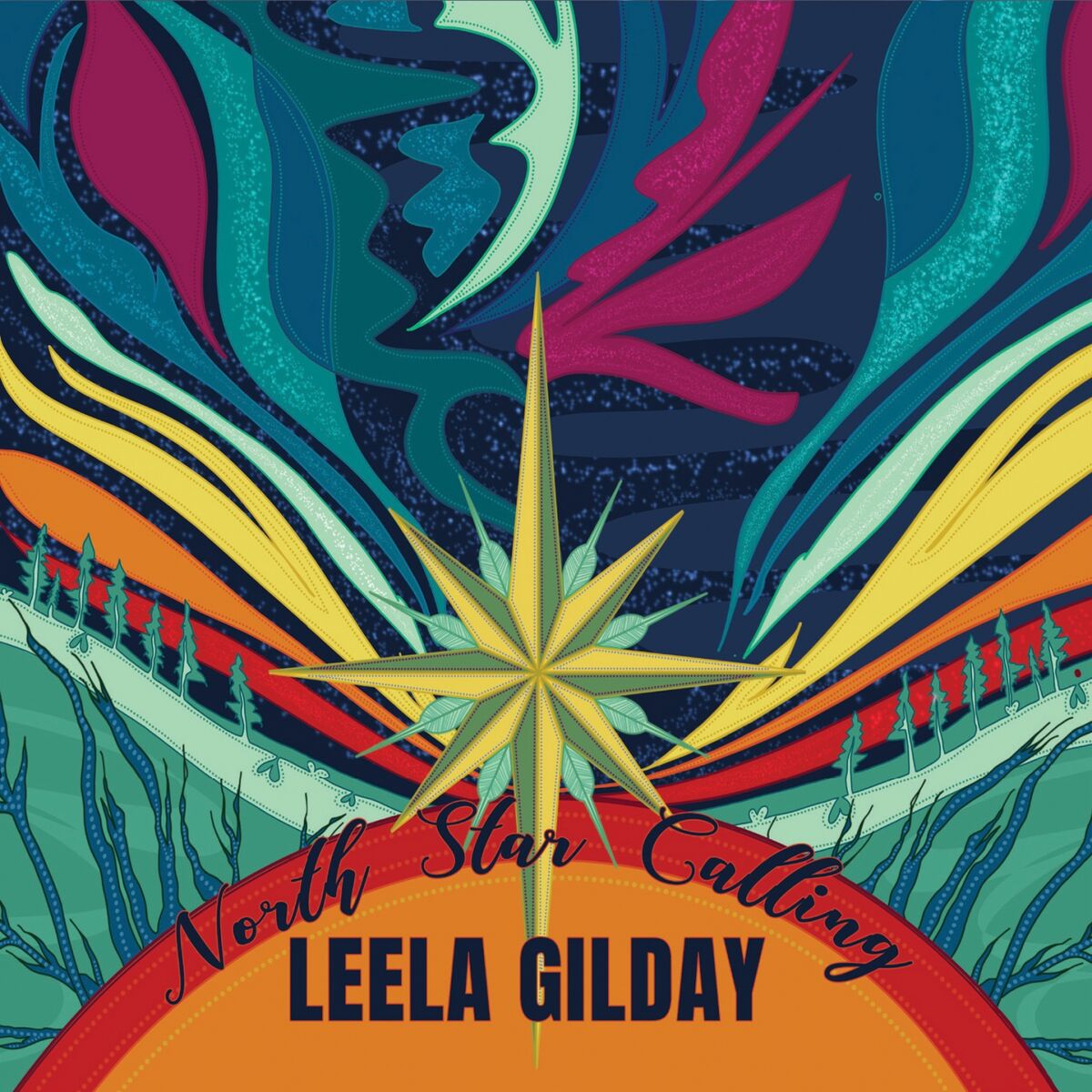 Album cover of North Star Calling