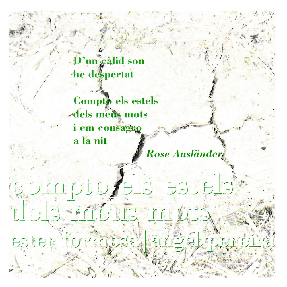 Picture of Compto Els Estels Dels Meus Mots