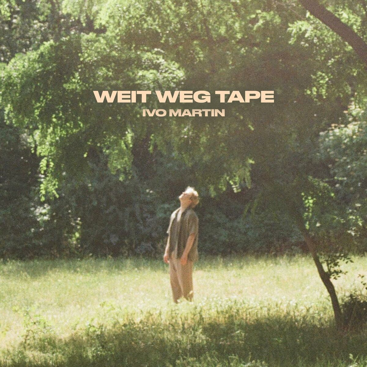 Album cover of Wie du's Liebe nennst (feat. LOTTE)