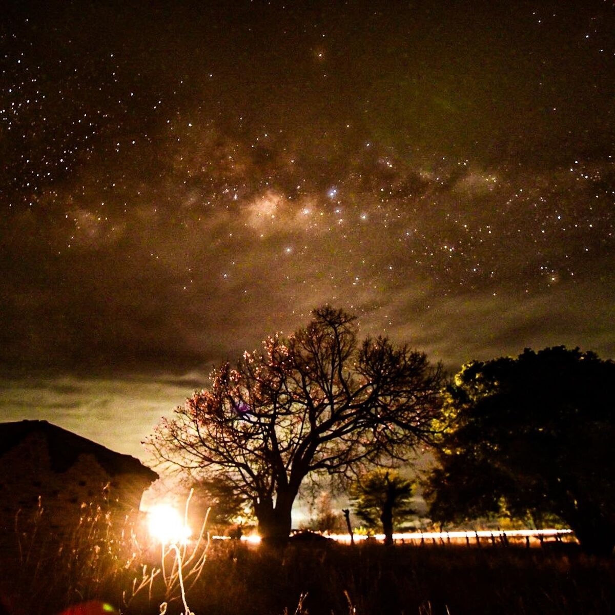 Album cover of Tema Para Miles