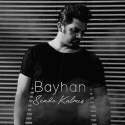 Cover of Sende Kalmış