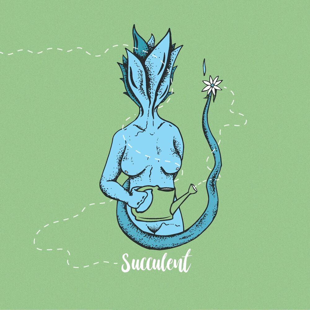 Picture of Succulent