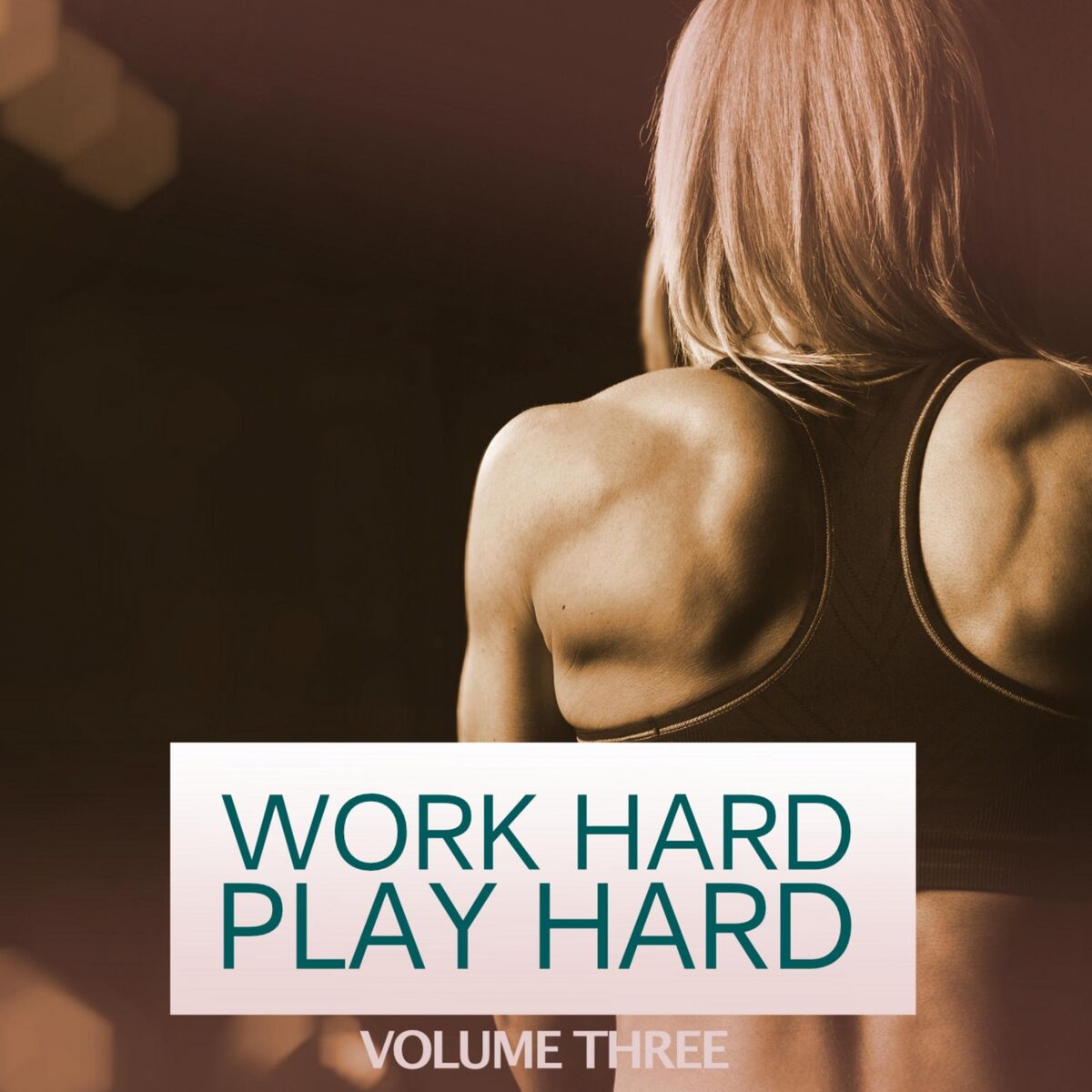 Album cover of Work Hard Play Hard, Vol. 3