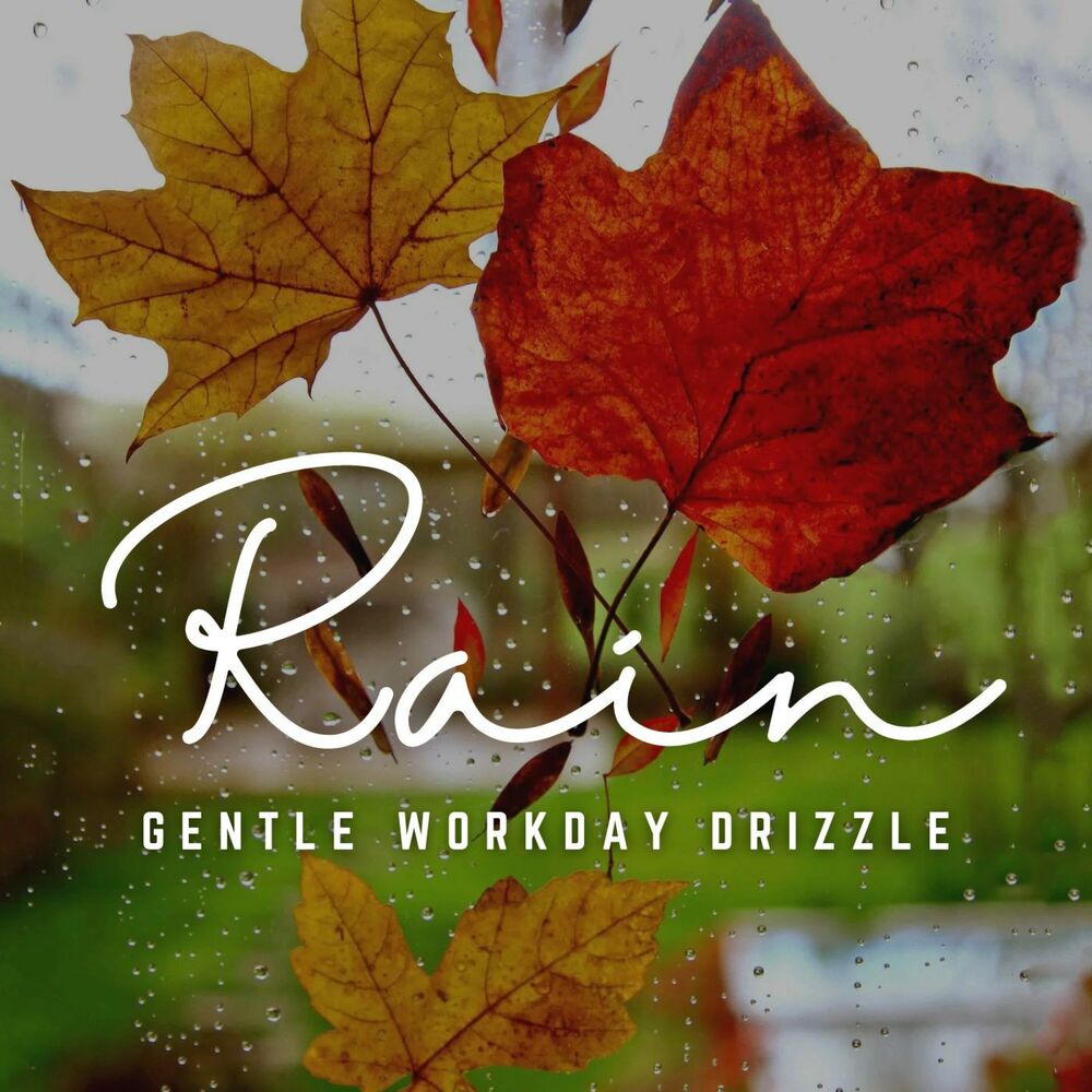 Picture of Rain's Workday Respite: Ambient Tunes