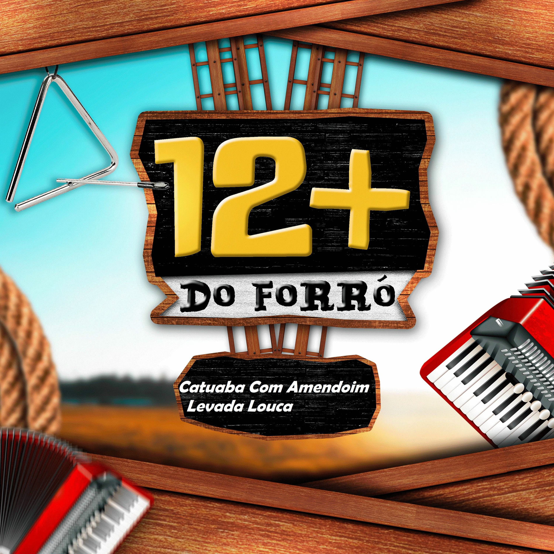 Album cover of 12+ Do Forró (Vol. 1)