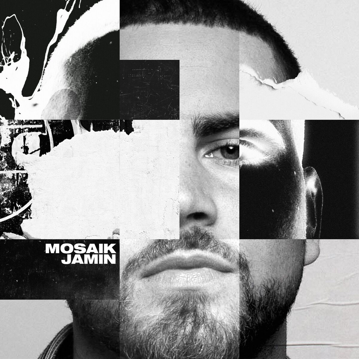 Album cover of Mosaik