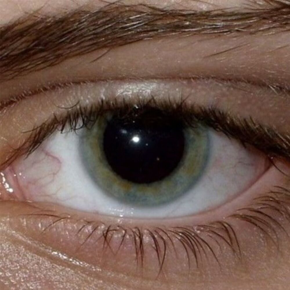 Picture of NEA GRAMMH