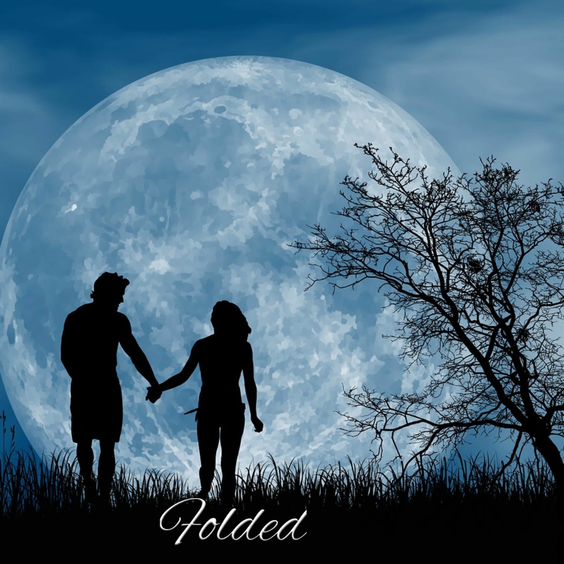 Album cover of Folded