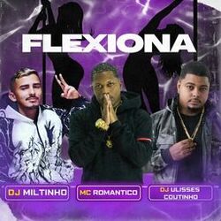Cover of FLEXIONA