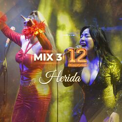 Cover of Mix 3: Herida (12 aniversario - En Vivo)